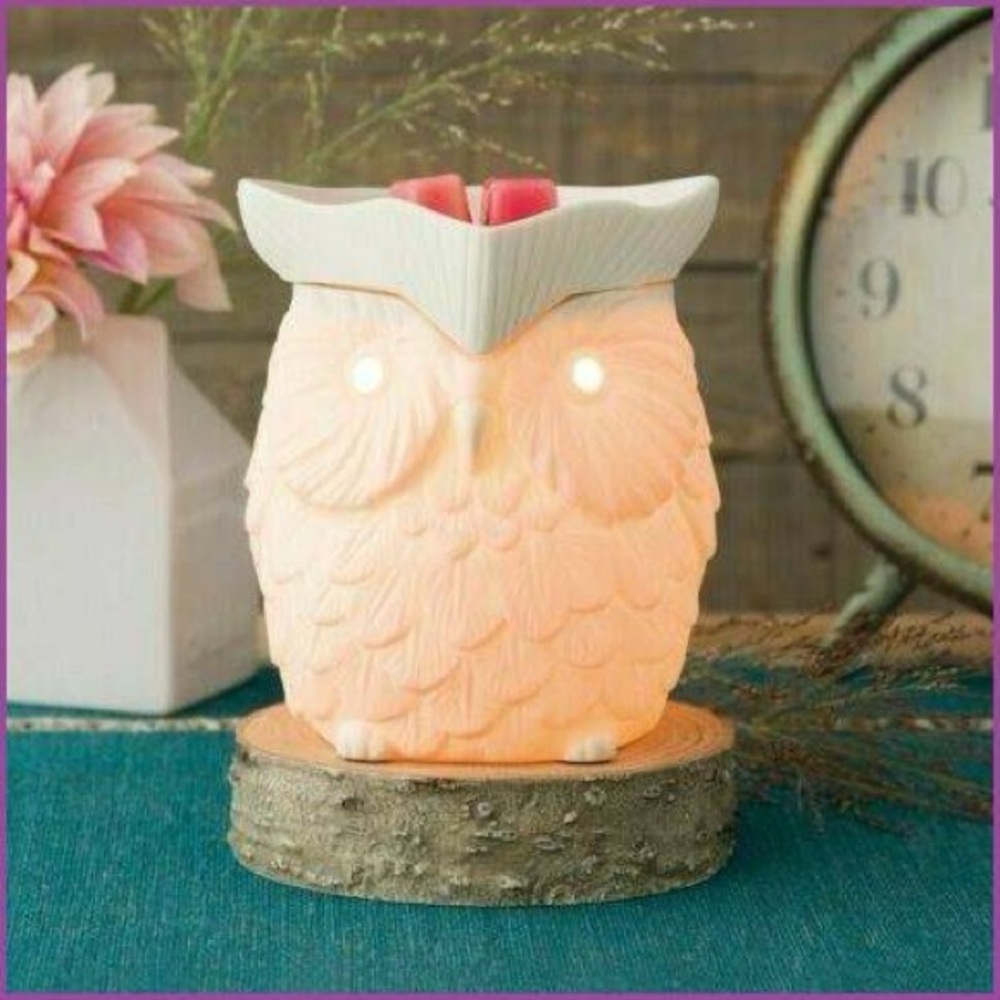 Scentsy Warmer